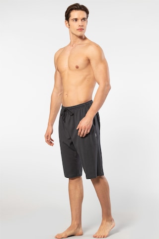 Cacharel Modal Bermuda Tek Alt 2172/antrasit Antrasit