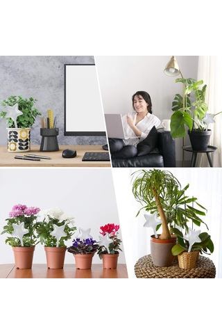 Adet Büyük Otomatik Sulama Küresi, Cam Sulama Topu, Damlama Sulama Ampulleri, Tatil Bitkileri İçin Sulama