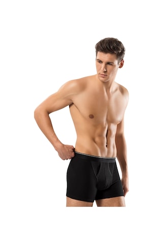 Erdem Siyah Pamuk Elastan Klasik Boxer 1445 Siyah