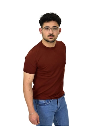Raymons Erkek Triko Sıfır Yaka Tişört P6035 Bgl-st04505 Tarçın