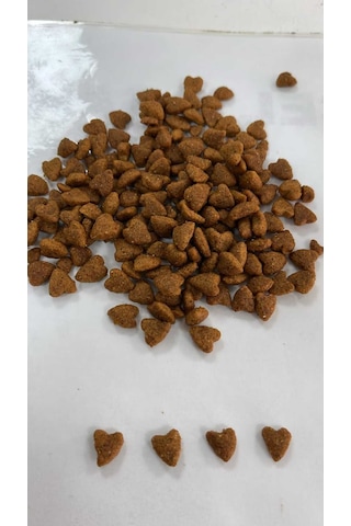 Yetişkin Kedi Kuru Maması Tavuklu 15 Kg