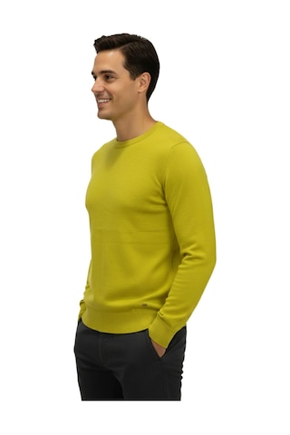 Erkek Spor Sıfır Yaka Regular Fit Kazak Bgl-st04953 Safran