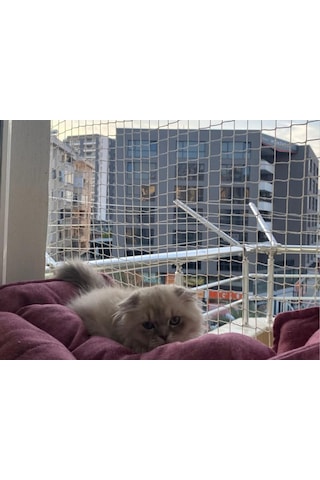 Kedi Filesi - Kedi Ağı - 4cm Göz Aralığı