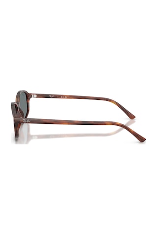 Ray-Ban RB2232 954/62 54 Sam Güneş Gözlüğü Kahverengi