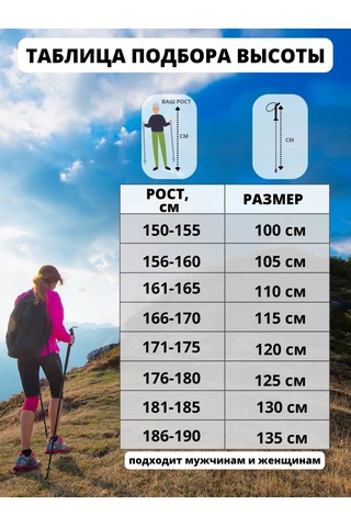 Advance-stick Teleskopik İskandinav Yürüyüşü Soporları 236517431 Gümüş