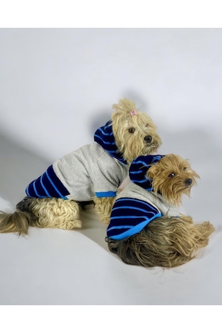 Blue Line Kapşonlu Sweatshirt Köpek Kıyafeti Köpek Elbisesi