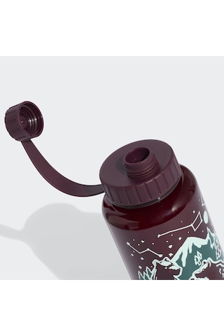 Adidas Terrex Bordo Su Şişesi Kq6945