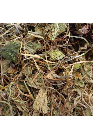 Gotu Kola Centella Asiatica 20 Gr