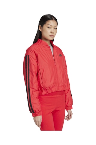 Adidas Jp1724 W Ess 3s In B J Kadın Spor Mont Renkli Çok Renkli