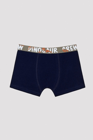Penti Erkek Çocuk Dinosur Crew Slogan Baskılı Boxer Çok Renkli