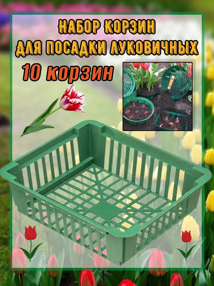 Botanikum Soğanlı Bitkiler İçin Sepet, Kelebek Yetiştirme 324986770