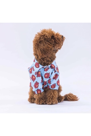 Pawstar Bear Kedi Köpek Gömleği