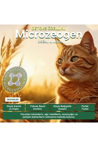 Senior Kümes Hayvanlı Yaşlı Kedi Maması 400 Gr