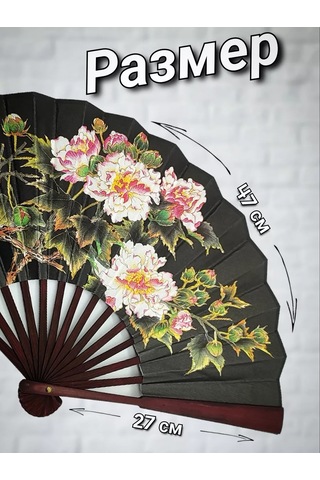 Sanin Karnaval Fotoğraf Çekimleri Ve Danslar İçin Katlanabilir Fan 257407324