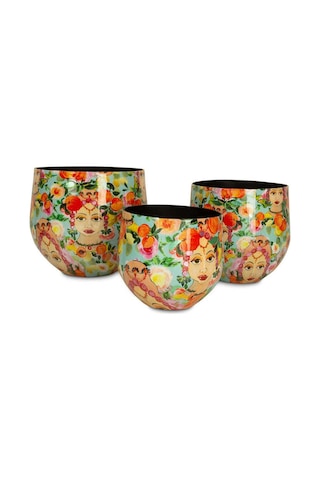 Blooming Namaste L Saksı