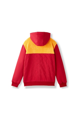 Gsstore Galatasaray Çocuk Hoodie C252066 Sarı - Kırmızı