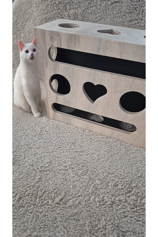 Mistikhane - Kedi Tırnak Törpüsü Ve Oyun Kutusu O Model