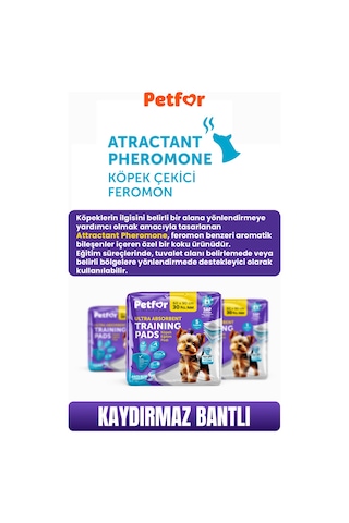 Petfor Yatak Koruyucu 60x90 Kaydırmaz Bantlı 150 Adet
