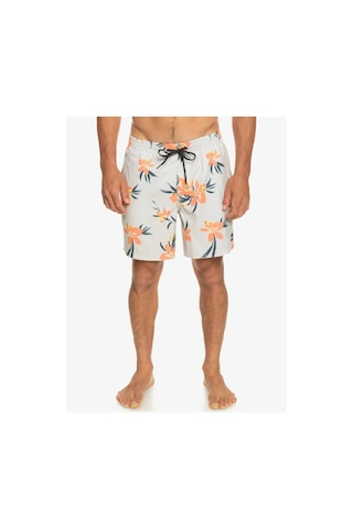 Quiksilver Eqyjv04002-wdw6 Mix 17 M Jamv Erkek Deniz Şortu 001