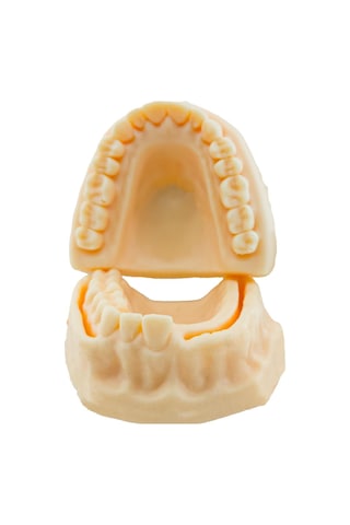 Barışhan Medikal Silikon Çene Diş Dikiş Modeli Ortodontik Alt Üst Çene Periodontal Sütür Eğitim Modeli-6