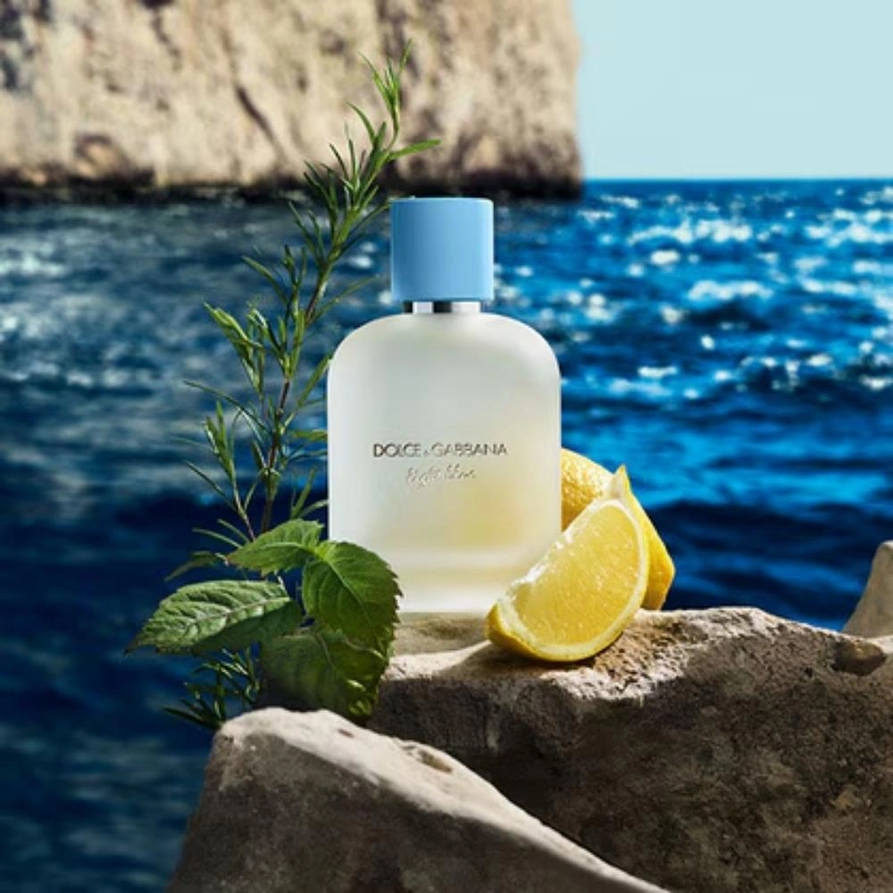 Dolce & Gabbana Light Blue Pour Homme Edt 100 Ml Kadın Parfümü Çiçek - Meyve