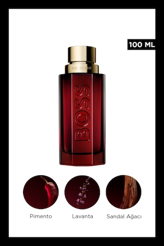 The Scent Elixir Parfum 100 Ml Erkek Parfüm Aromatik