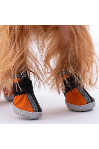 Pawstar Turuncu Köpek Ayakkabısı