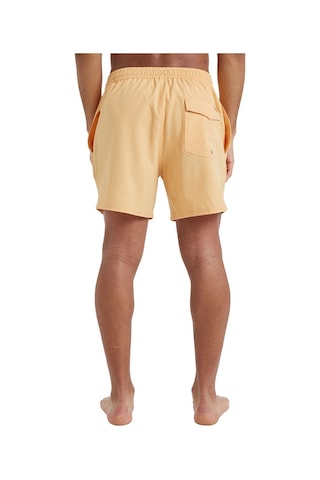 Quiksilver Surfsilk Solid Volley 16 Erkek Turuncu Mayoşort Turuncu