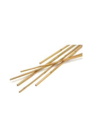 Bambu Çubuk Bitki Destek Çubuğu 50'Li 8 Mm x 120 Cm