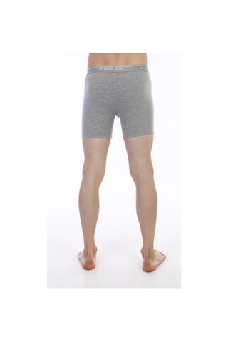 Çift Kaplan Erkek Elastanlı Biyeli Boxer 855 Gri