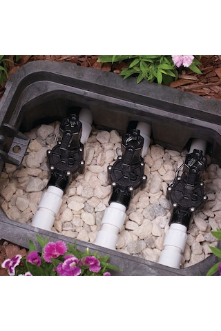 Rain Bird 100dv Solenoid Vana 24v 1 İnç 6 Adet
