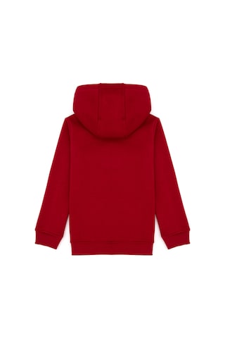 U.S. Polo Assn. Kız Çocuk Koyu Frambuaz Kapüşonlu Şardonlu Basic Sweatshirt 50314311-VR104