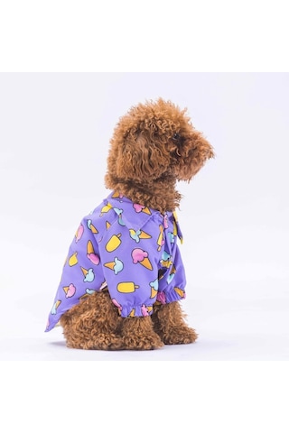 Pawstar Ice Cream Kedi Köpek Gömleği