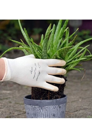 Rostaıng Nude Bahçe Saksı Ekim Dikim Ve Yabani Ot Eldiveni