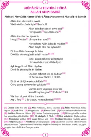 Tam Musahhah Mevlid-İ Şerif Ilahi Ve Kasidelerle (Ayfa066)