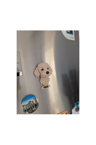 Kişiye Özel Toy Poodle Köpek Magneti Köpeğinizin İsmi Yazılı Dekoratif Buzdolabı Magneti Sevimli Köpek Figürü