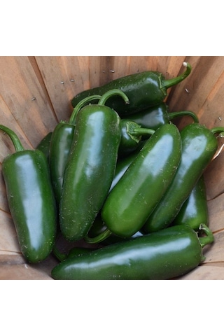 Doğal Çok Acı Jalapeno Biber Tohumu 20Adet Doğal Çok Acı Jalapeno Biber Tohumu 20Adet