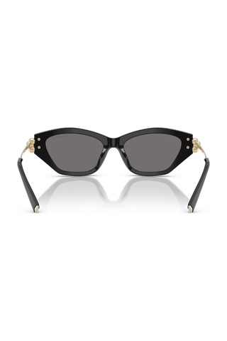 Tiffany Tf4231u 800181 53 Polarize Kadın Güneş Gözlüğü Siyah