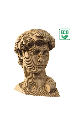 Cartonic 3d Puzzle - Davıd