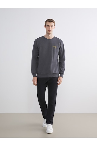 Lcw Eco Antrasit Bisiklet Yaka Baskılı Erkek Sweatshirt