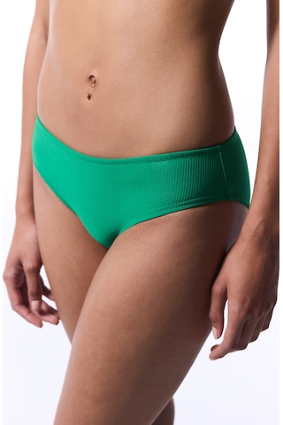 Penti Yeşil Holly Hipster Bikini Altı