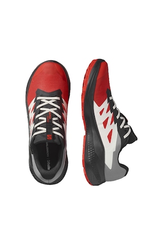 Salomon Alphaglıde Gore-tex Erkek Ayakkabısı L47975200 Çok Renkli