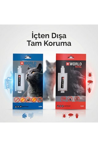 Kedi Dış Bit Pire Kene