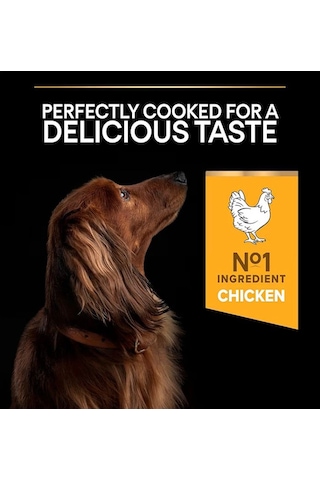 Pro Plan Small & Mini Adult Tavuklu Köpek Maması 3 Kg