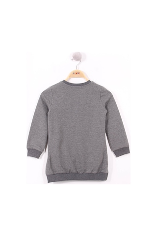 Toontoy Kız Çocuk Anne Kız Baskılı Sweatshirt Antrasit Melanj