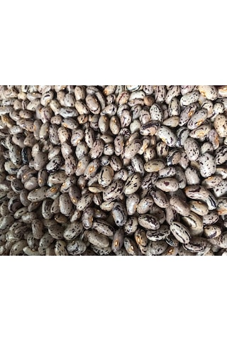 Yerli Ata Tohumu Sırık Uzun Enli Geç Turşuluk Fasulye 25 G Alaca