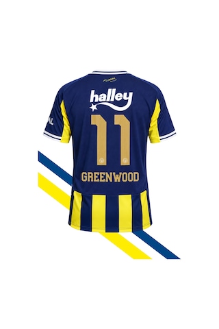 Fenerium Fenerbahçe Lisanslı Greenwood Forması Uv Kutu Sarı-lacıvert Uv