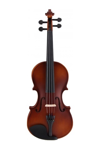 Rosa 4/4 Keman - Mat Cilalı Rv044M