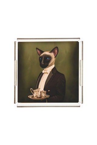 Mr. Cat Pleksi Tepsi - 25x25cm