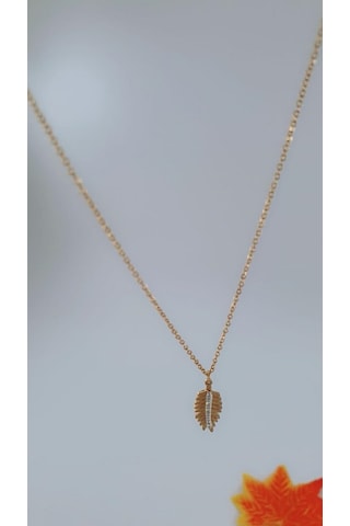 Bhs Life Kadın Gold Renk Yaprak Çelik Kolye